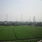 Man mag es kaum glauben, die ersten Reisfelder, die wir in China gesehen haben! Und man beachte die vielen Strommasten im Hintergrund!
