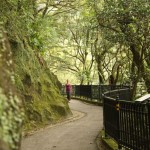 Rundweg um die Victoria-Peak