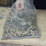 Vogelfutter