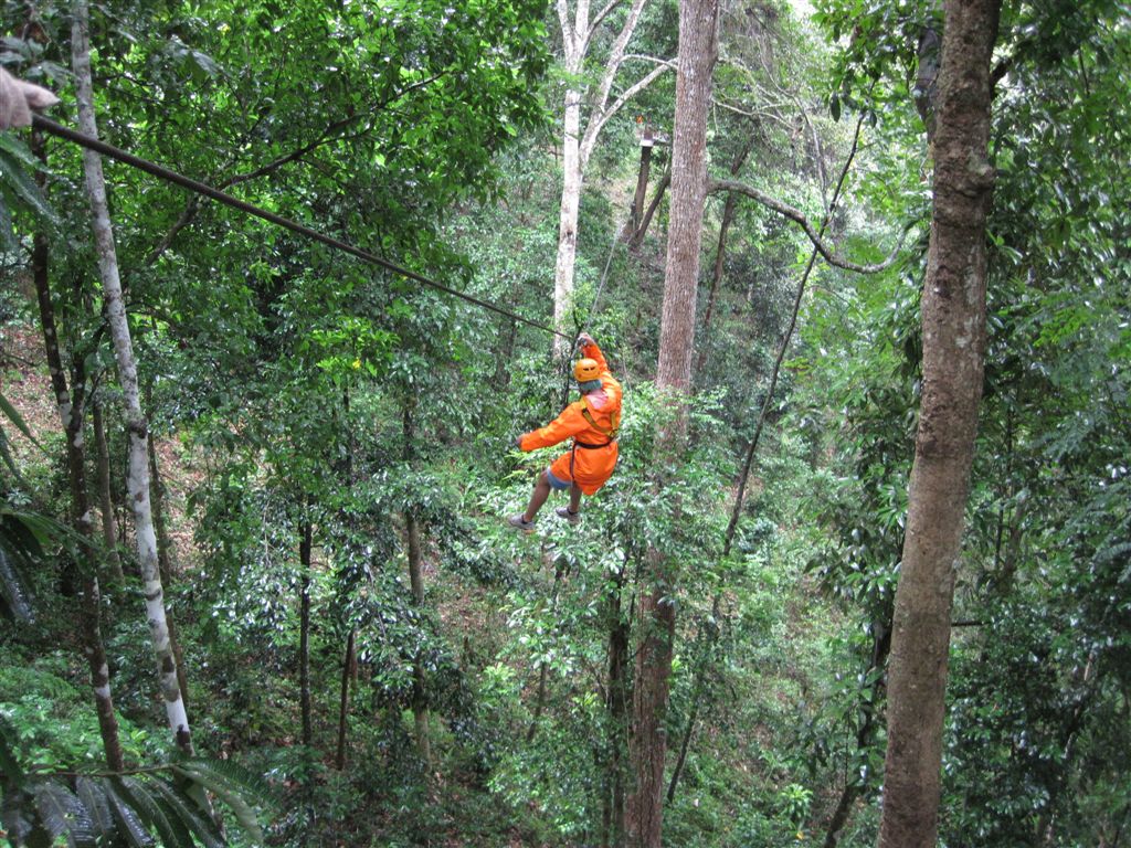 Dragon Flight in Chiang Mai