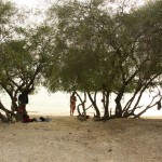 Freedom Beach - total schattiger, gemütlicher Strand