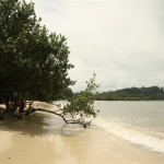 so ein schöner Strand