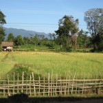 Aussicht rund um Khong Lo