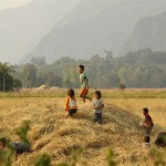 Kinder hüpfen im Stohhaufen herum