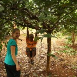 Mr. Vieng schaukelt im Kaffeebaum