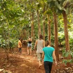 unsere kleine Plantagen-Wanderung