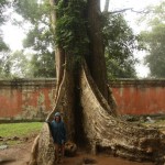 Ta Phrom