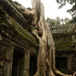 Ta Phrom