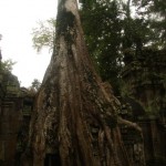 Ta Phrom