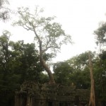 Ta Phrom