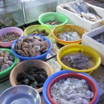 reichliche Auswahl an frischer Seafood