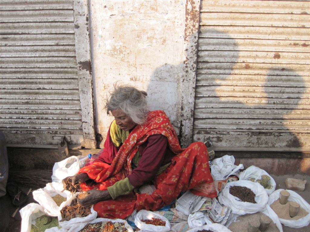 Wiedersehen in Neu-Dehli (Delhi)