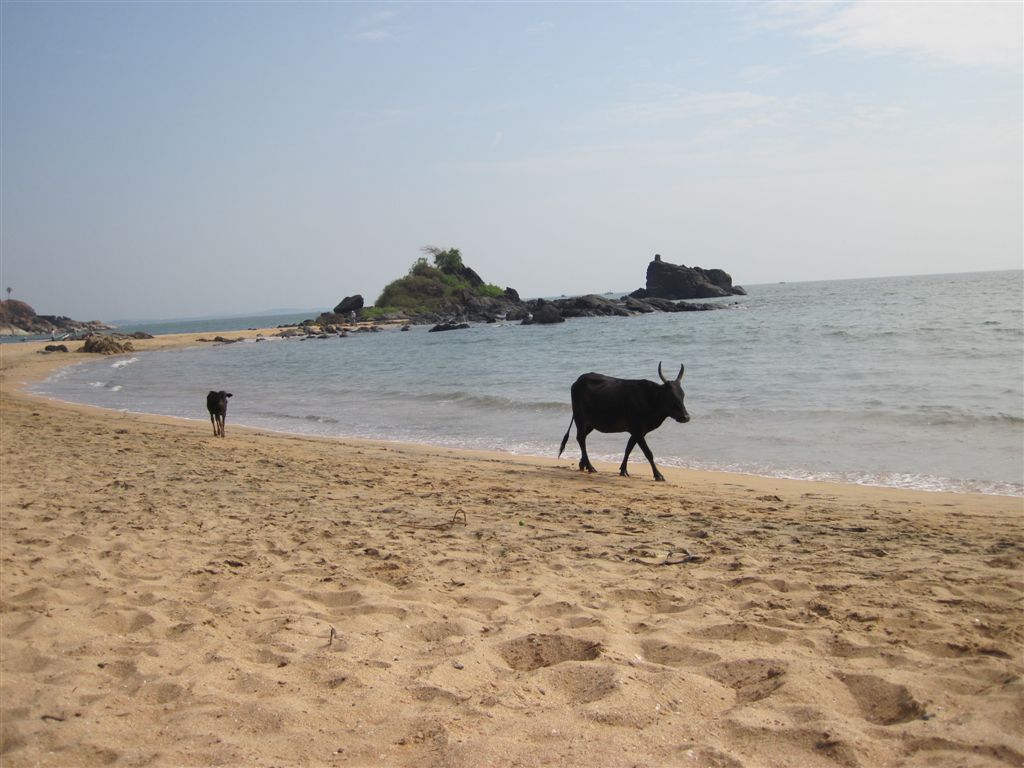 Om-Beach – Gokarna (Karnataka)