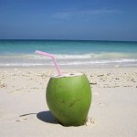 frische Kokosnuss - Kalapathar Beach