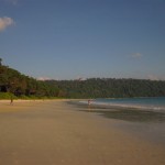 Beach No. 7 (Radhanagar Beach)