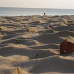 Beach No. 7 (Radhanagar Beach)